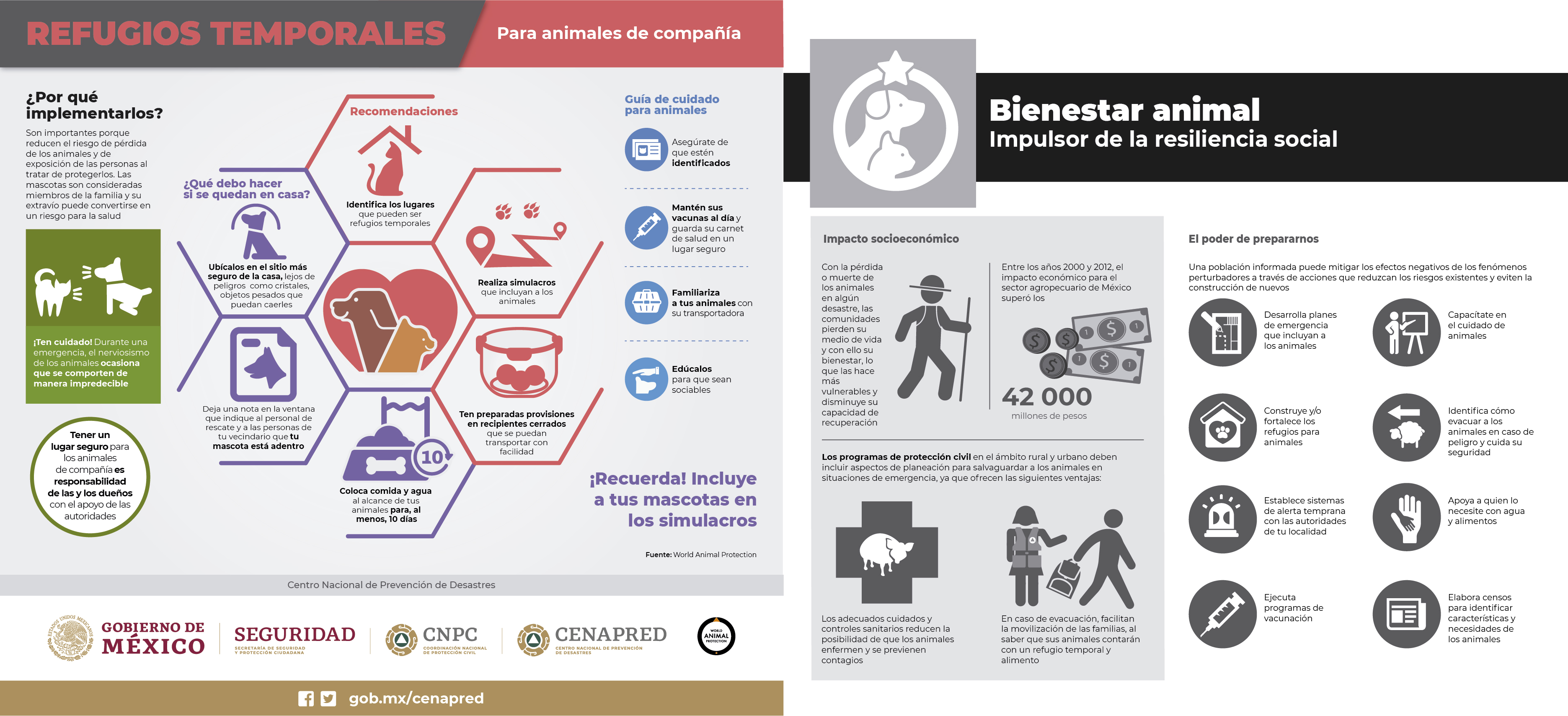 infografia 1