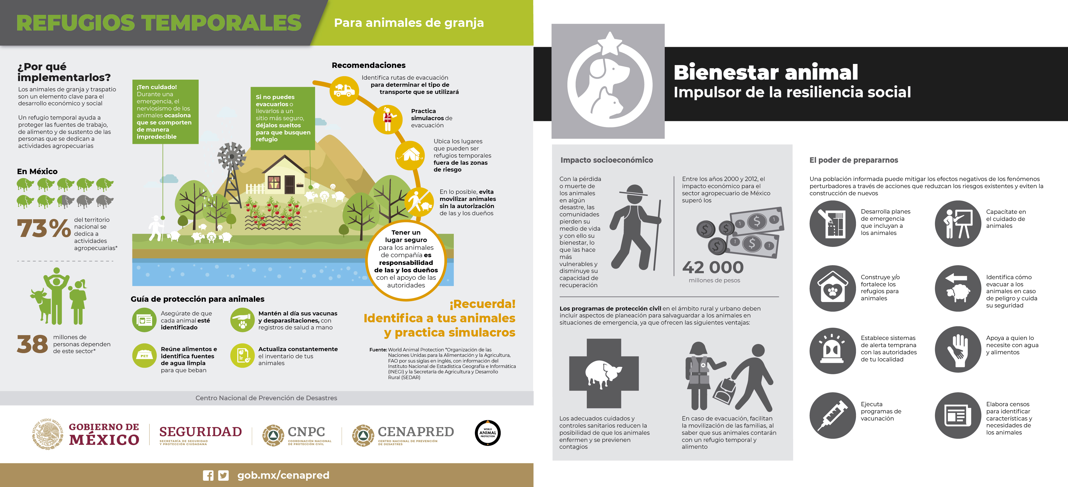 infografia 1
